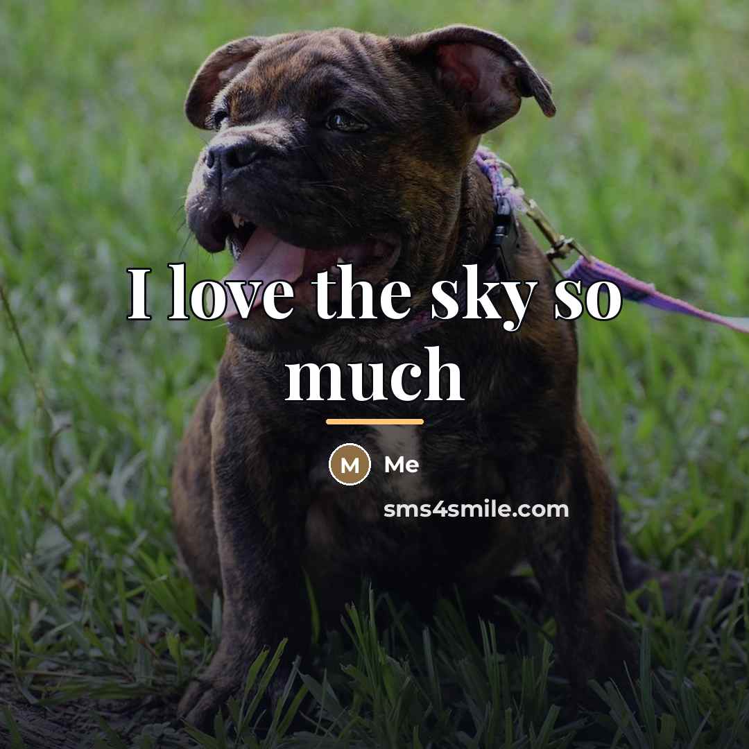 “I love the sky so much…” quote by Me