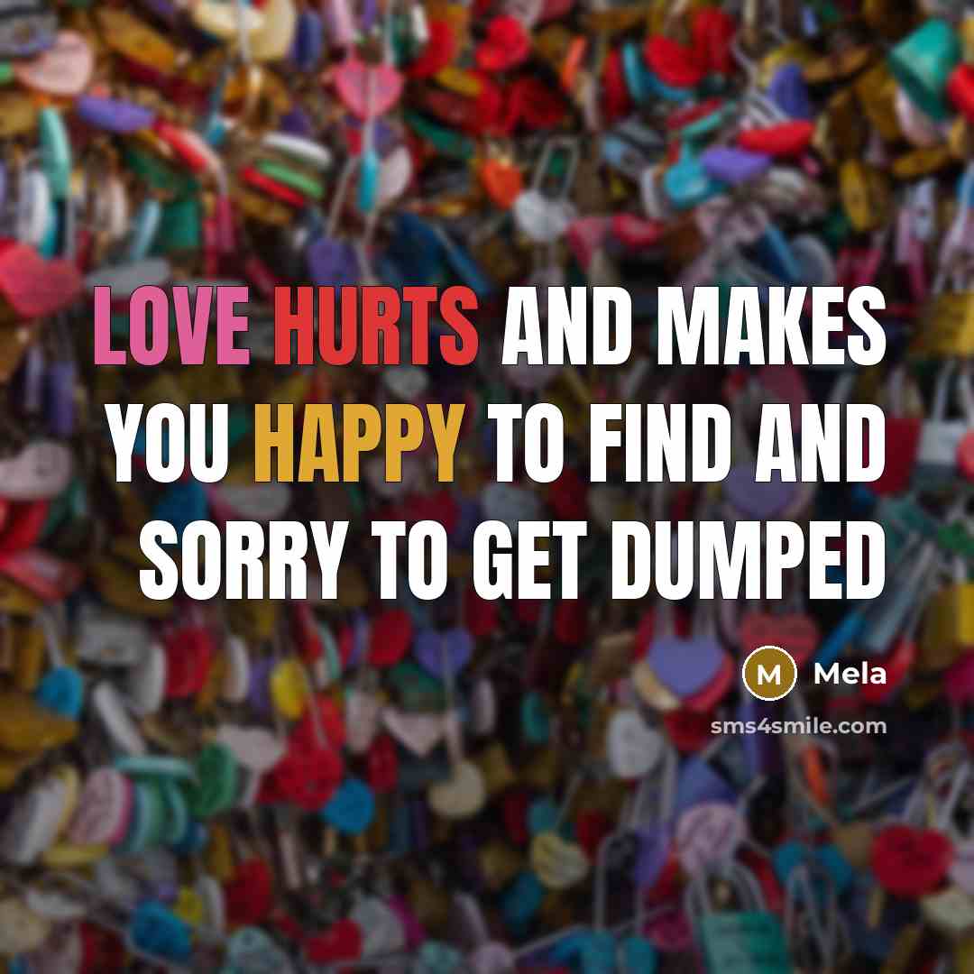 “Love hurts and makes you happy to find and sorry to get dumped” quote by Mela