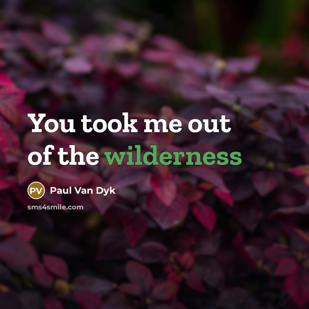 “You took me out of the wilderness…” quote by Paul Van Dyk