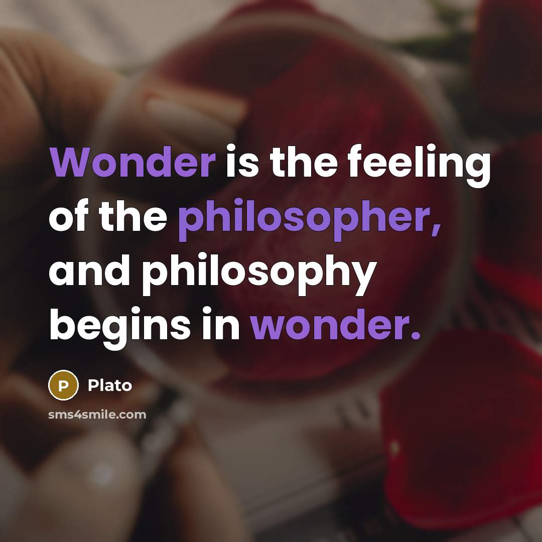 “Wonder is the feeling of the philosopher, and philosophy begins…” quote by Plato