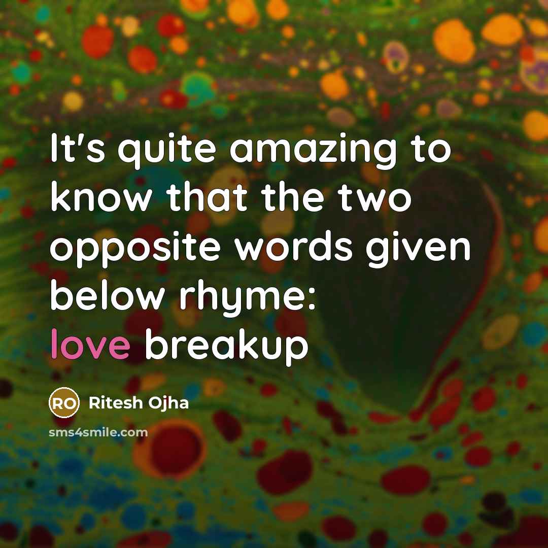 “It's quite amazing to know that the two opposite words…” quote by Ritesh Ojha