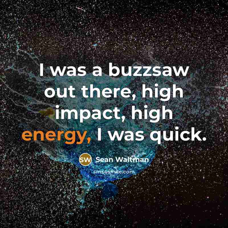 “I was a buzzsaw out there, high impact, high energy,…” quote by Sean Waltman