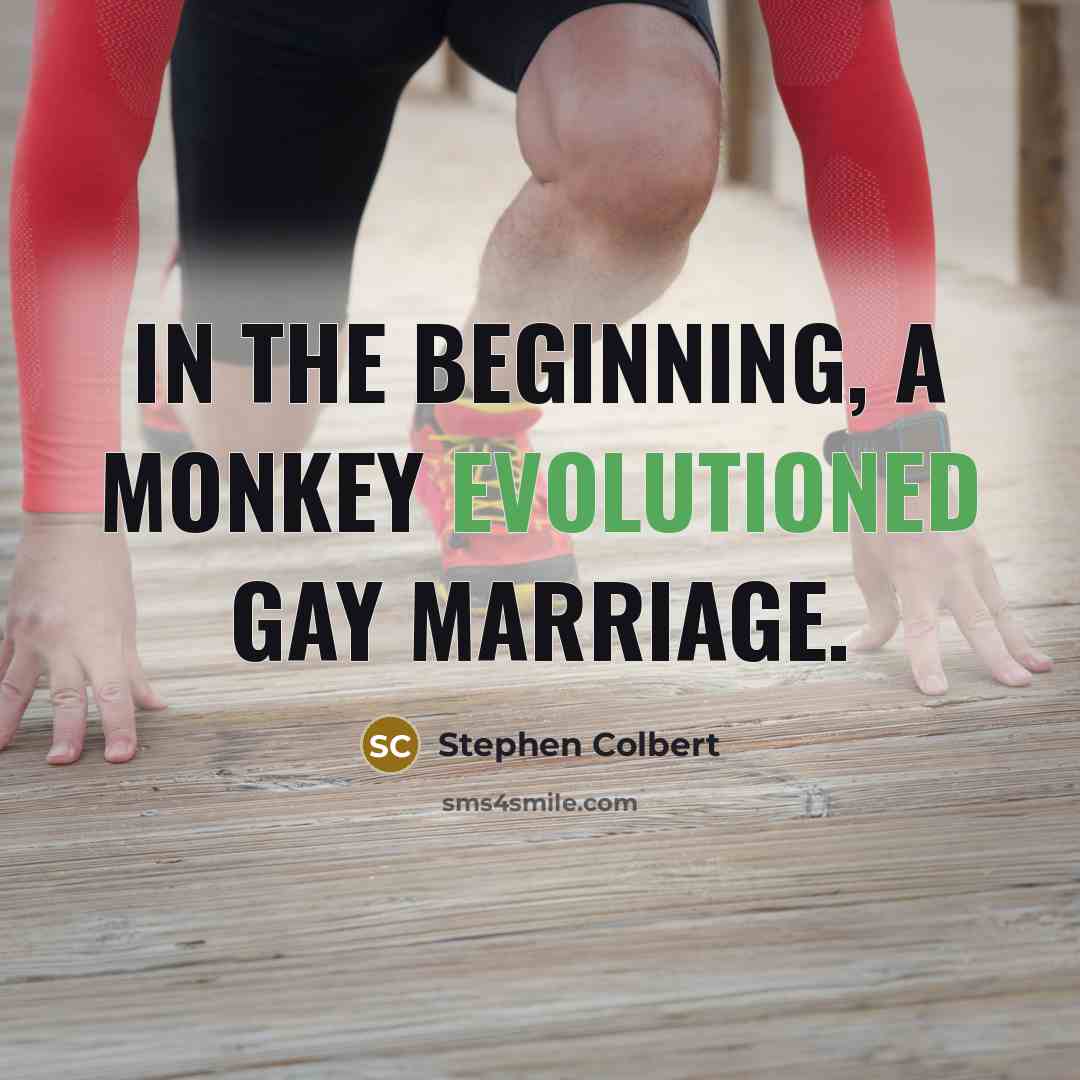 “In the beginning, a monkey evolutioned gay marriage.” quote by Stephen Colbert