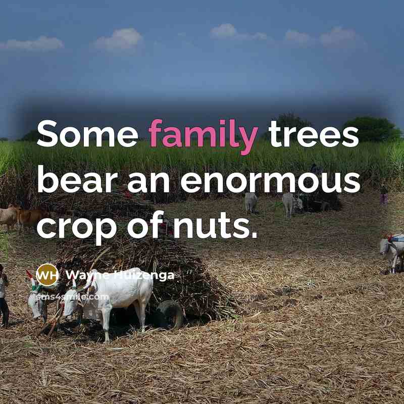 “Some family trees bear an enormous crop of nuts.…” quote by Wayne Huizenga
