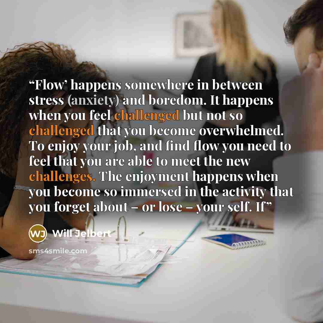 “Flow’ happens somewhere in between stress (anxiety) and boredom. It happens when you feel challenged but not so challenged that you become overwhelmed. To enjoy your job, and find flow you need to feel that you are able to meet the new challenges. The enjoyment happens when you become so immersed…” quote by Will Jelbert