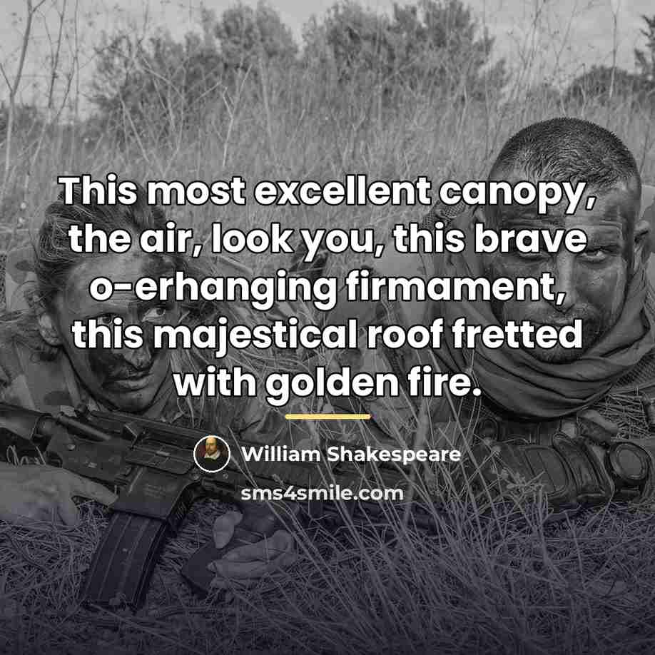 “This most excellent canopy, the air, look you, this brave…” quote by William Shakespeare