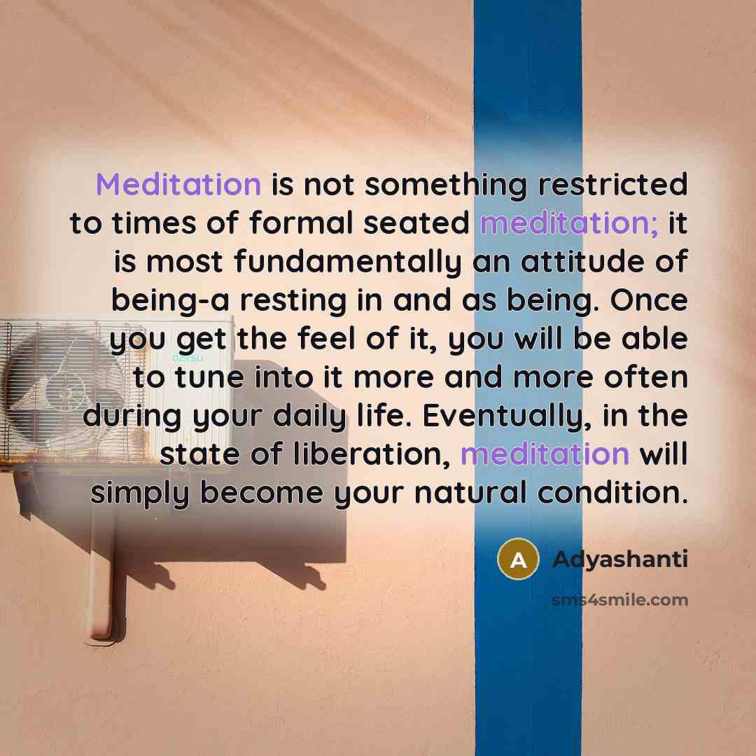 “Meditation is not something restricted to times of formal seated…” quote by Adyashanti