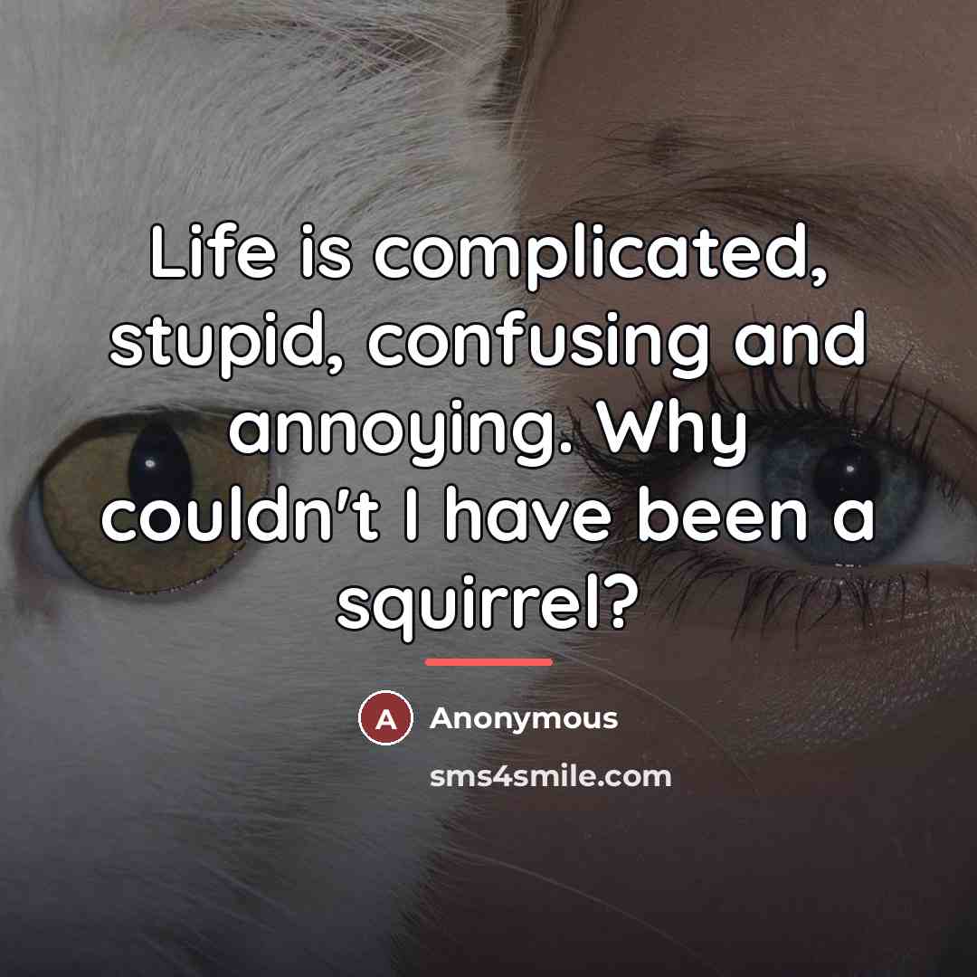 “Life is complicated, stupid, confusing and annoying. Why couldn't I…” quote by Anonymous