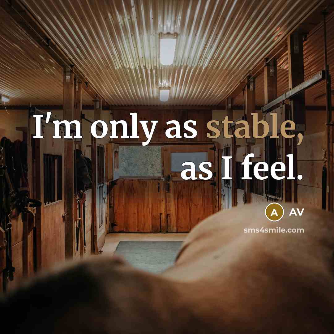 “I'm only as stable, as I feel.…” quote by AV
