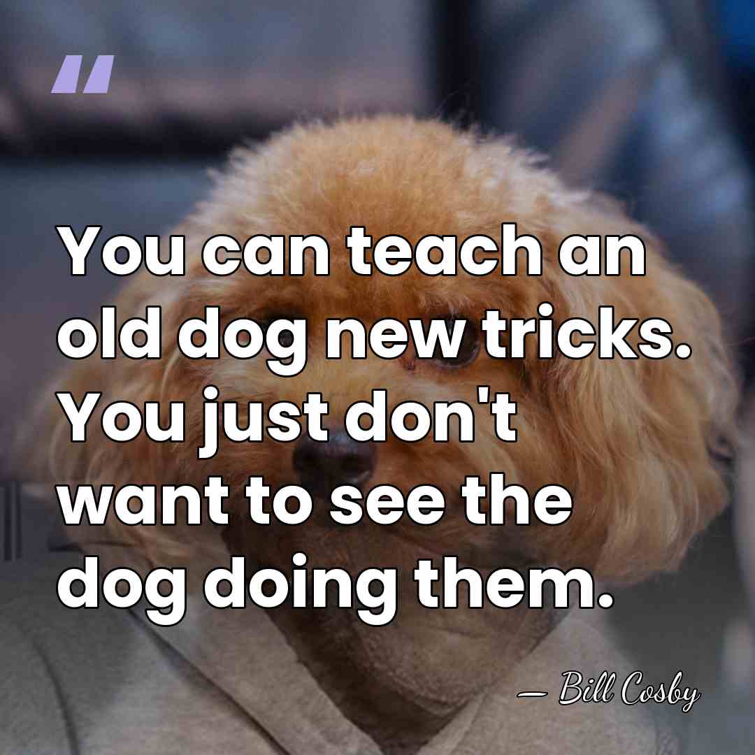 You can teach an old dog new tricks. You just don't want&hellip; - Bill Cosby
