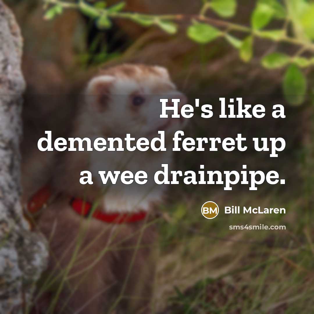 “He's like a demented ferret up a wee drainpipe.…” quote by Bill McLaren