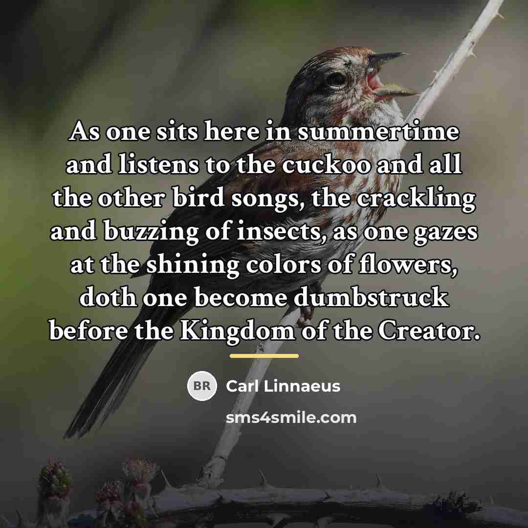 “As one sits here in summertime and listens to the…” quote by Carl Linnaeus