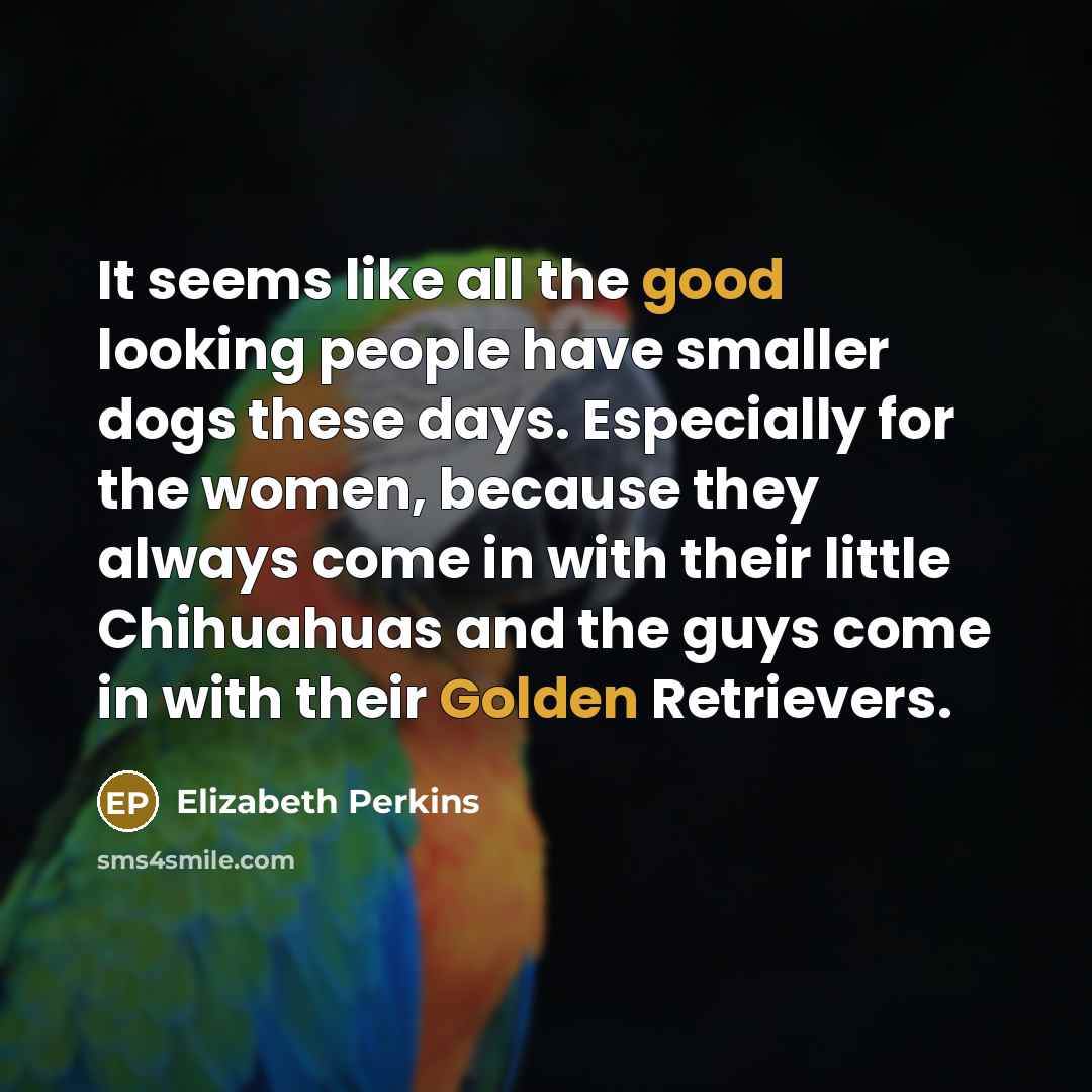 “It seems like all the good looking people have smaller dogs these days. Especially for the women, because they always come in with their little Chihuahuas and the guys come in with their Golden Retrievers.” quote by Elizabeth Perkins
