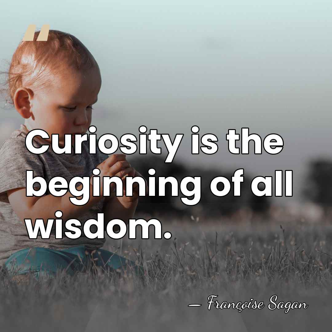 Curiosity is the beginning of all wisdom. - Francoise Sagan