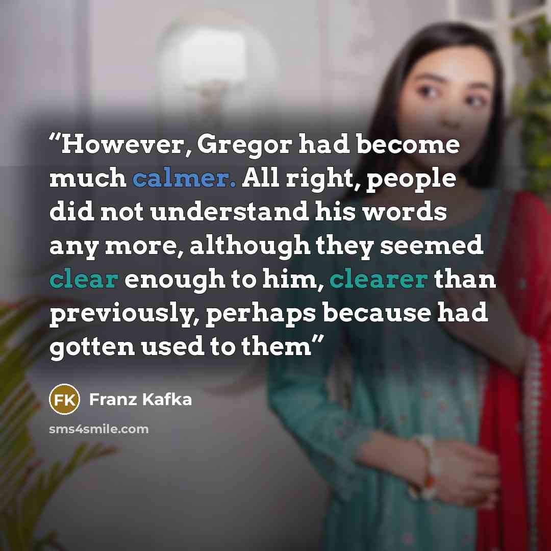 “However, Gregor had become much calmer. All right, people did not understand his words any more, although they seemed clear enough to him, clearer than previously, perhaps because had gotten used to them” quote by Franz Kafka