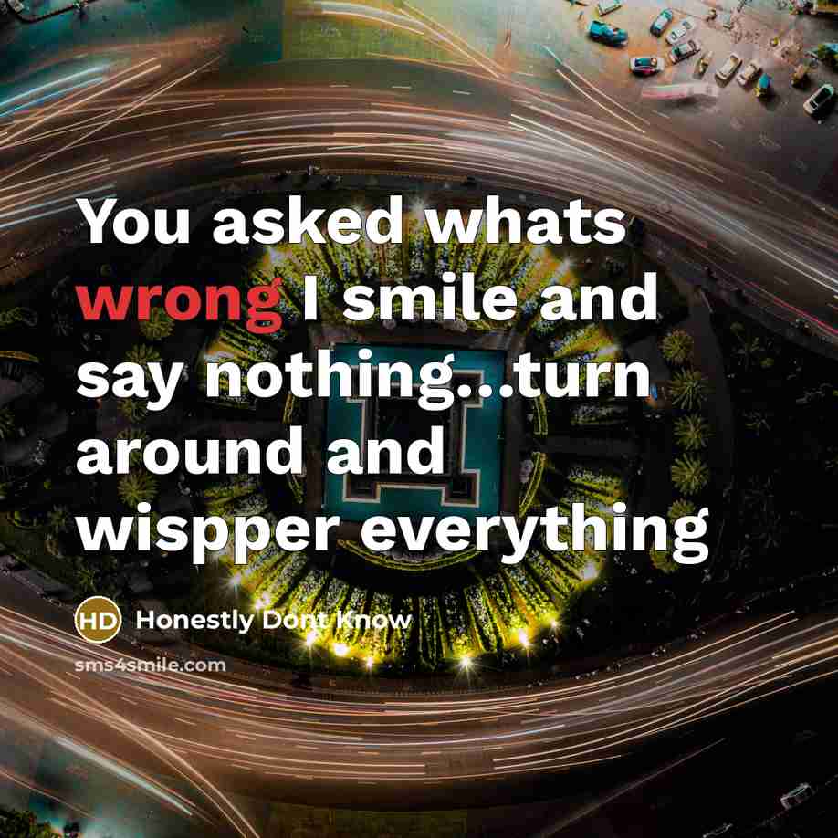 “You asked whats wrong I smile and say nothing…turn around and wispper everything” quote by Honestly Dont Know
