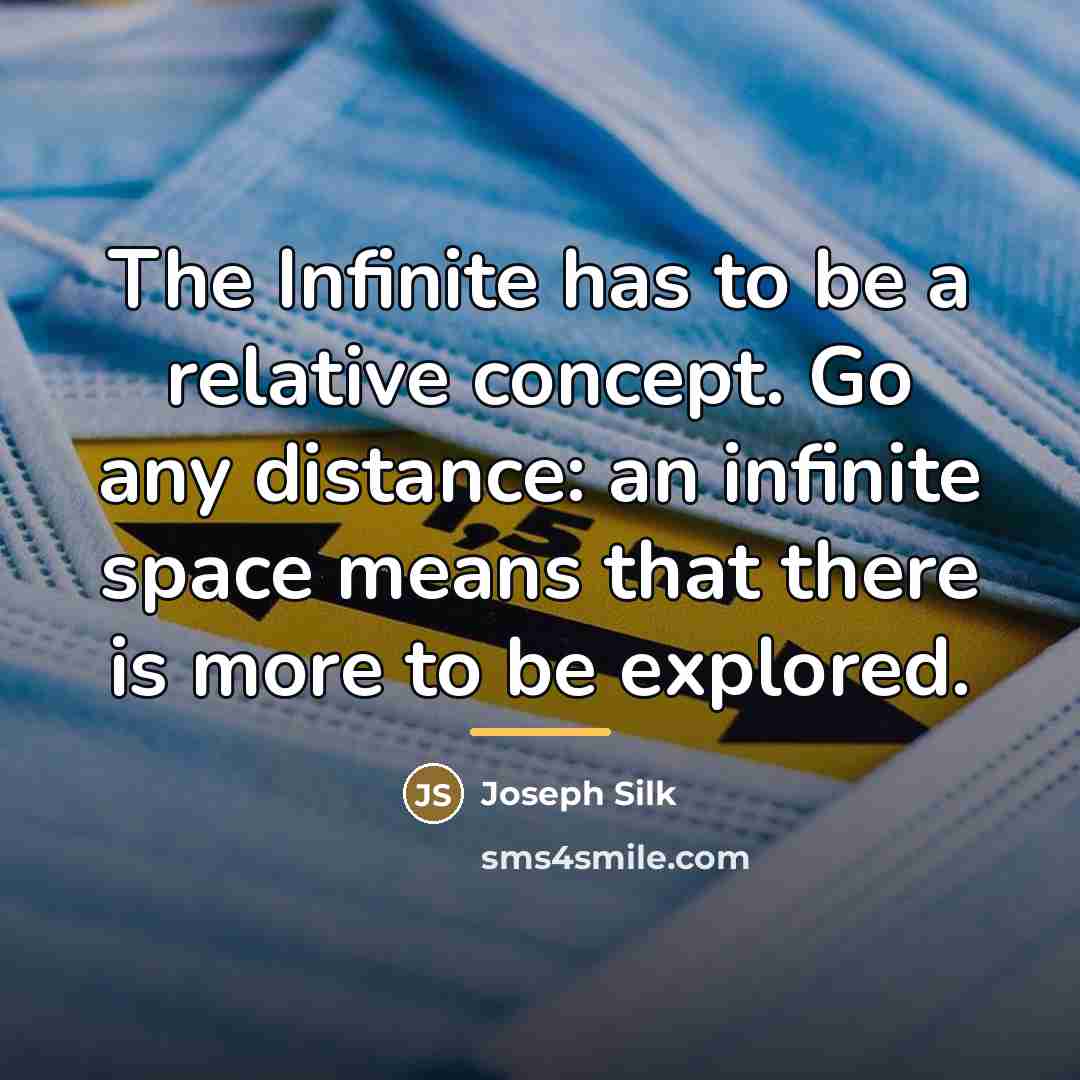 “The Infinite has to be a relative concept. Go any…” quote by Joseph Silk