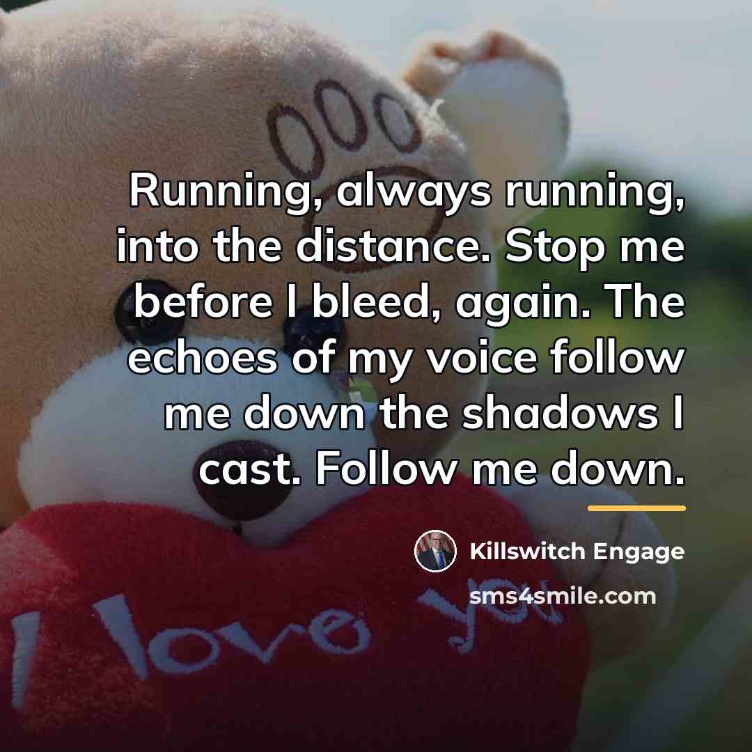 “Running, always running, into the distance. Stop me before I…” quote by Killswitch Engage