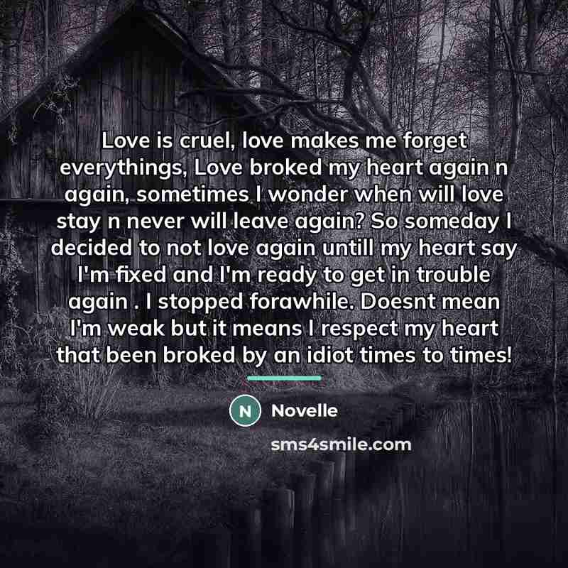 “Love is cruel, love makes me forget everythings, Love broked…” quote by Novelle