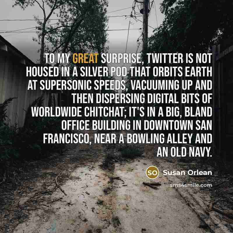 “To my great surprise, Twitter is not housed in a…” quote by Susan Orlean