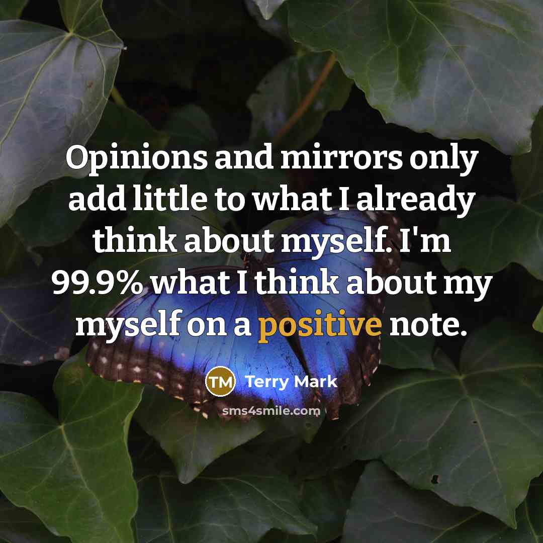 “Opinions and mirrors only add little to what I already…” quote by Terry Mark