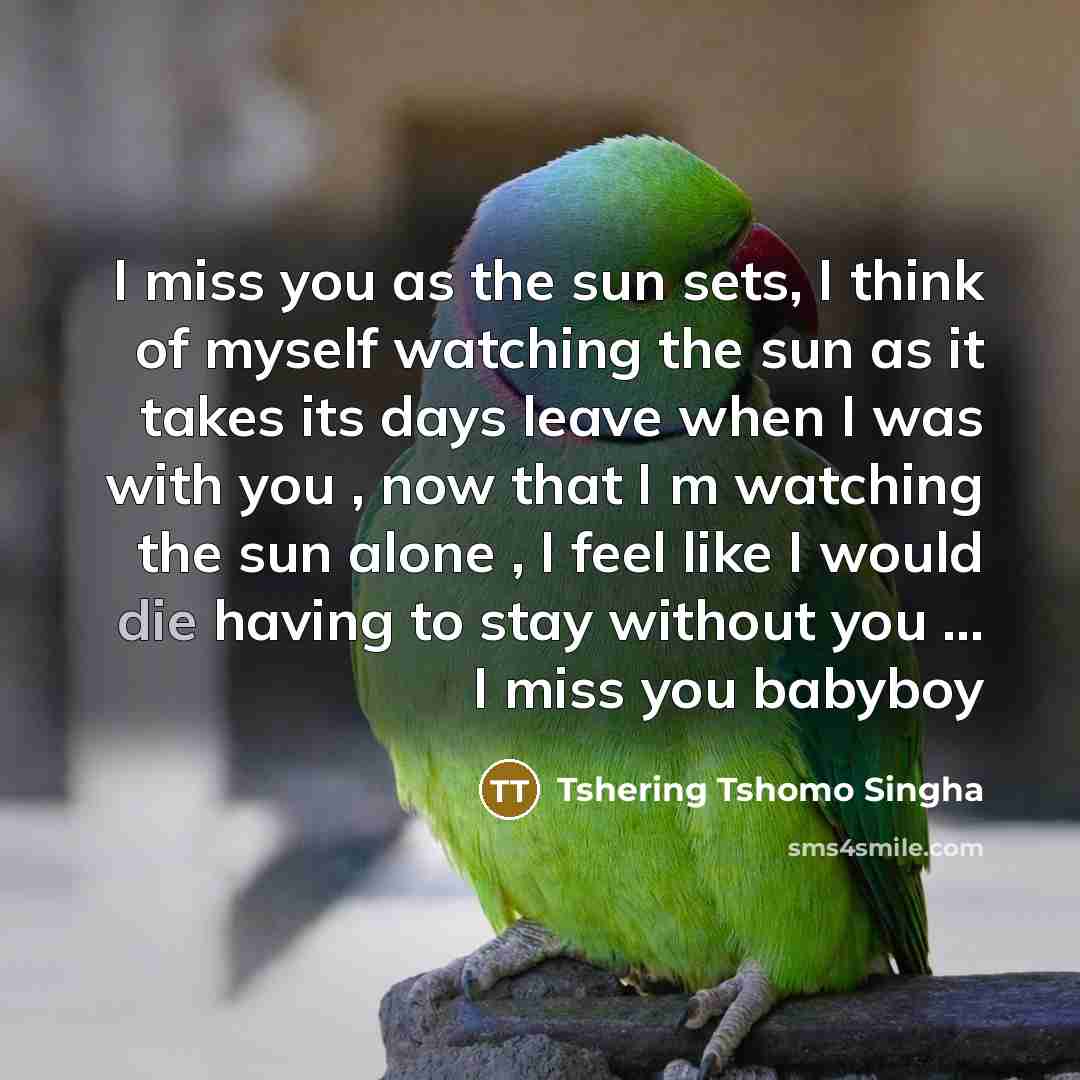 “I miss you as the sun sets, I think of myself watching the sun as it takes its days leave when I was with you , now that I m watching the sun alone , I feel like I would die having to stay without you … I miss you babyboy” quote by Tshering Tshomo Singha