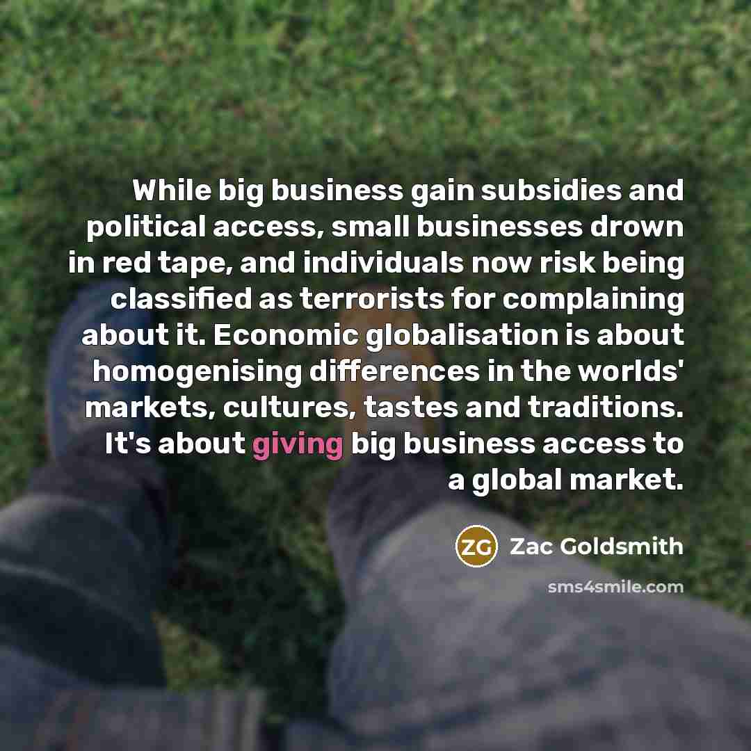 “While big business gain subsidies and political access, small businesses…” quote by Zac Goldsmith