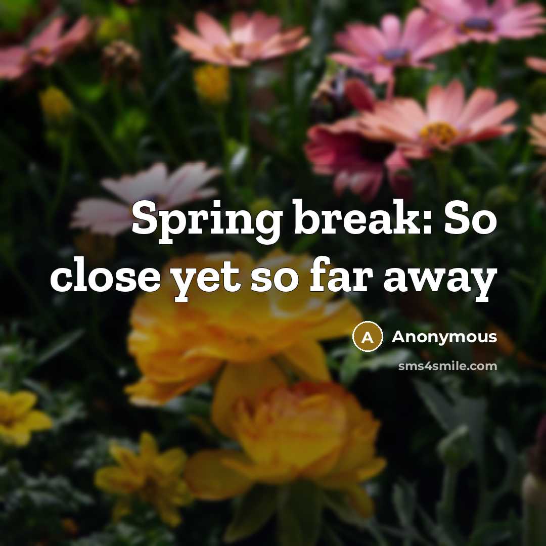 “Spring break: So close yet so far away” quote by Anonymous