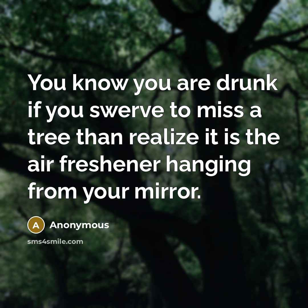“You know you are drunk if you swerve to miss…” quote by Anonymous