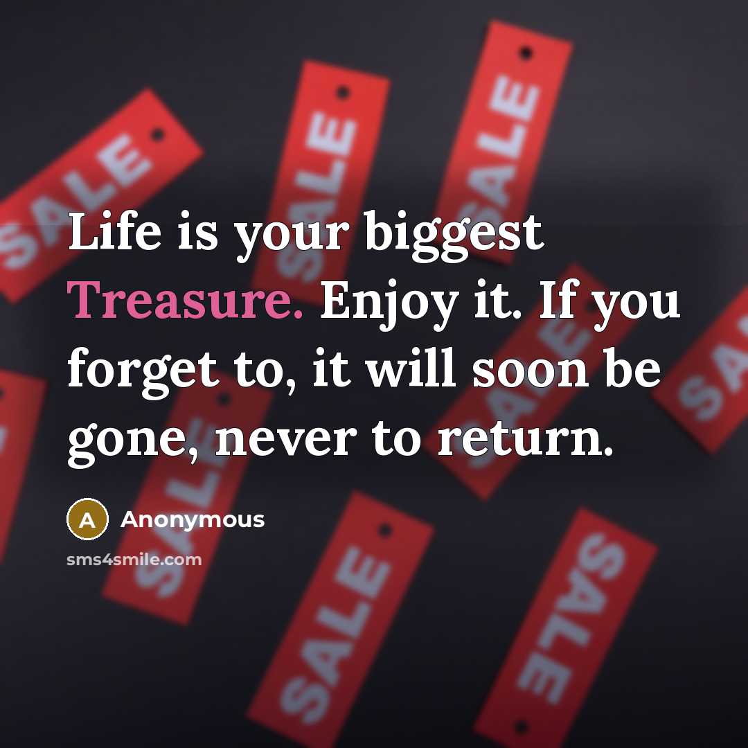 “Life is your biggest Treasure. Enjoy it. If you forget…” quote by Anonymous