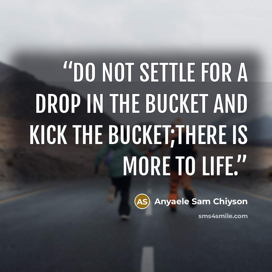“Do not settle for a drop in the bucket and kick the bucket;there is more to life.” quote by Anyaele Sam Chiyson