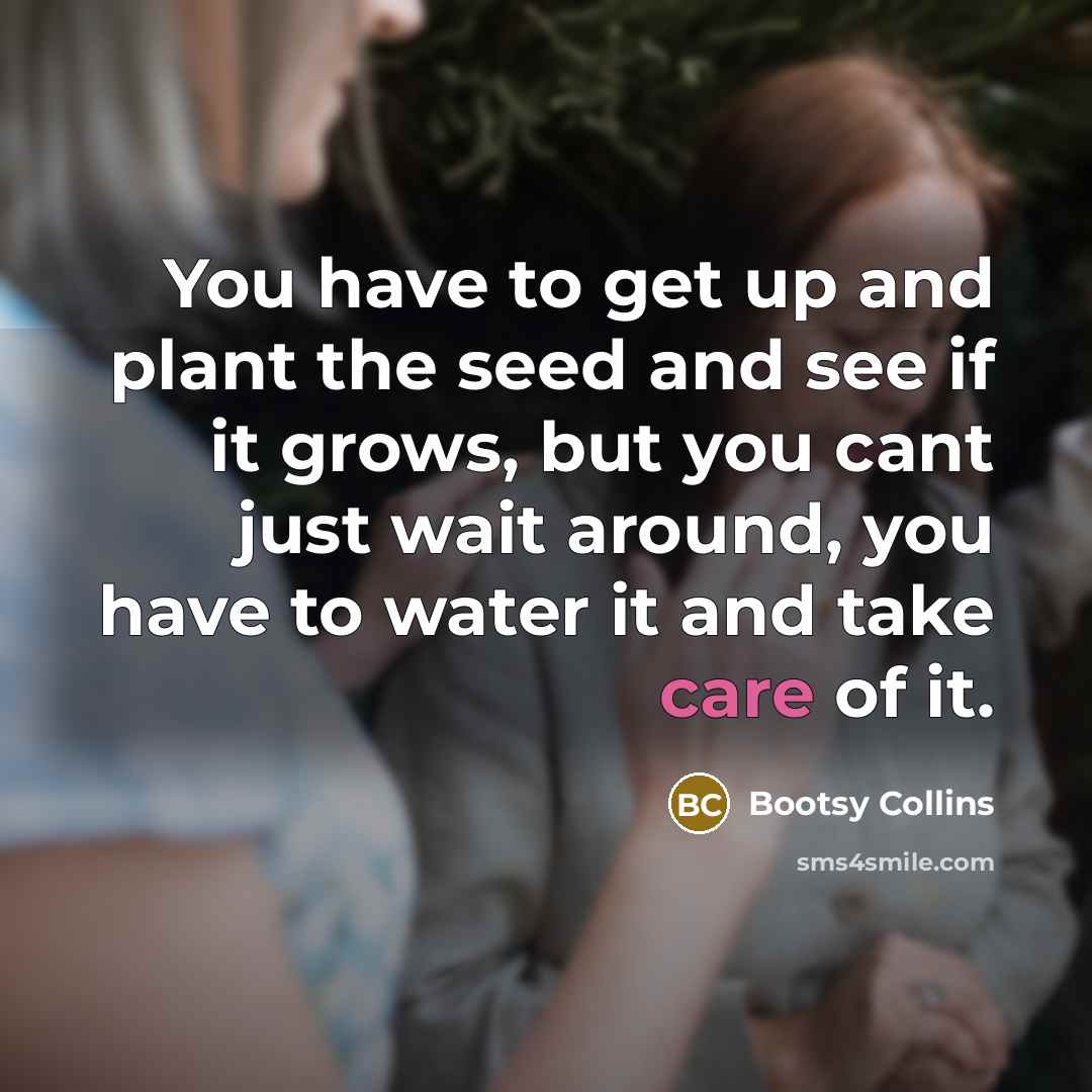 “You have to get up and plant the seed and…” quote by Bootsy Collins
