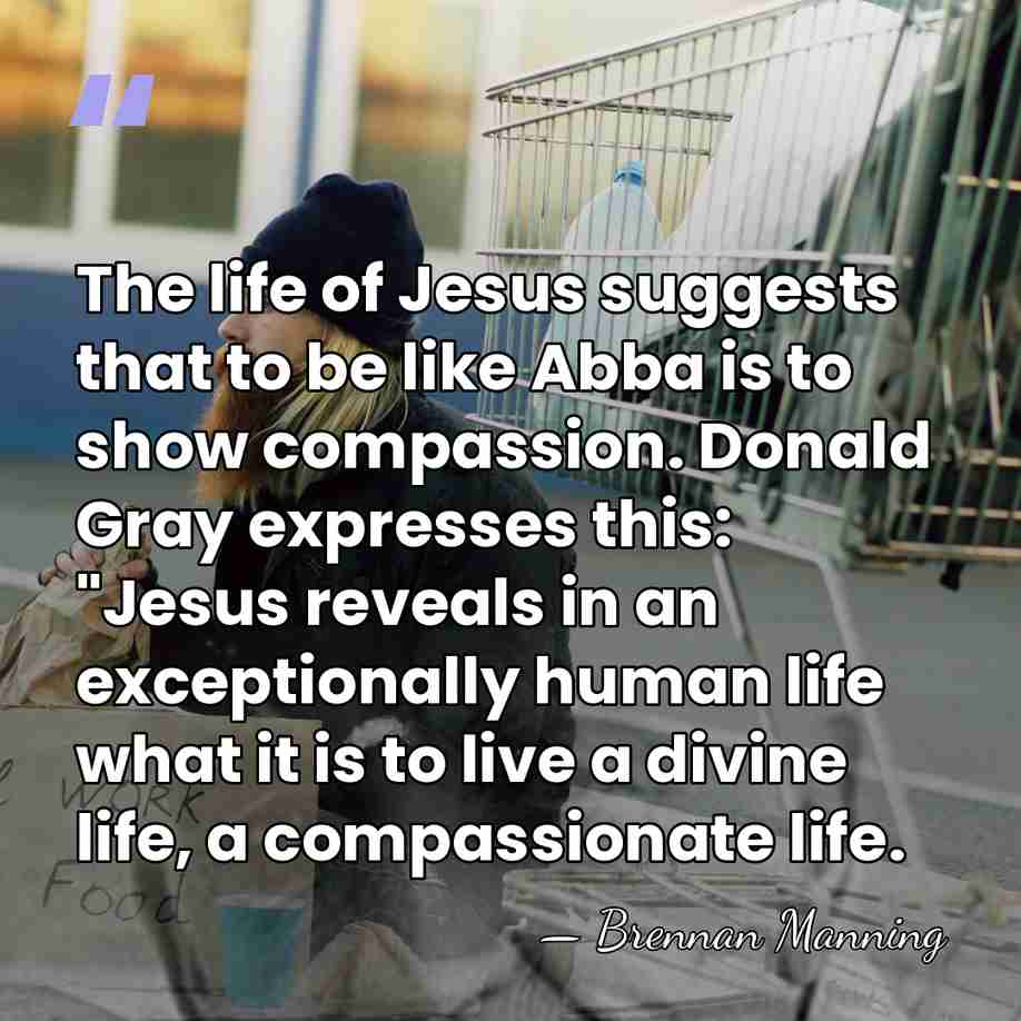 The life of Jesus suggests that to be like Abba is to&hellip; - Brennan Manning