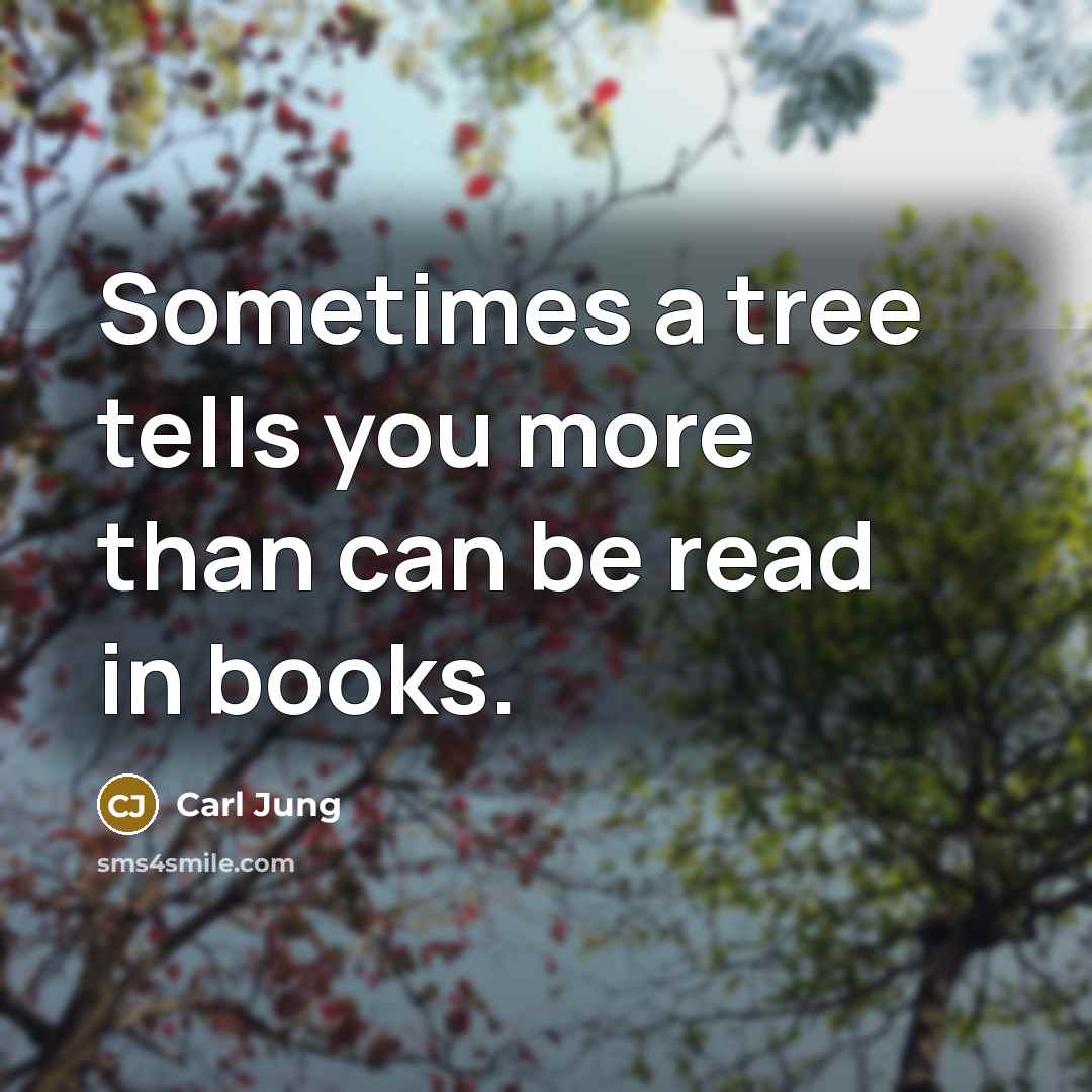 “Sometimes a tree tells you more than can be read…” quote by Carl Jung