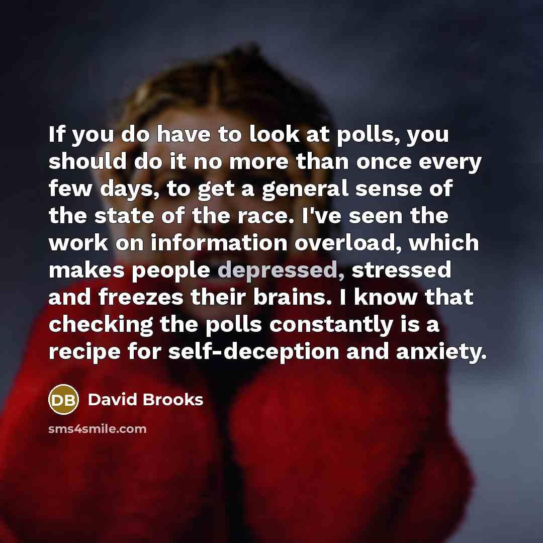 “If you do have to look at polls, you should…” quote by David Brooks