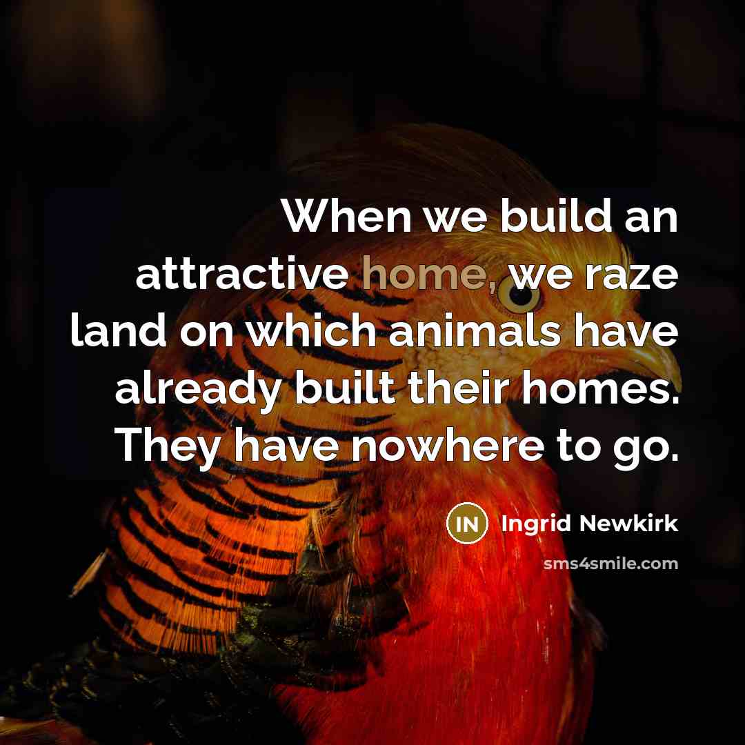 “When we build an attractive home, we raze land on…” quote by Ingrid Newkirk