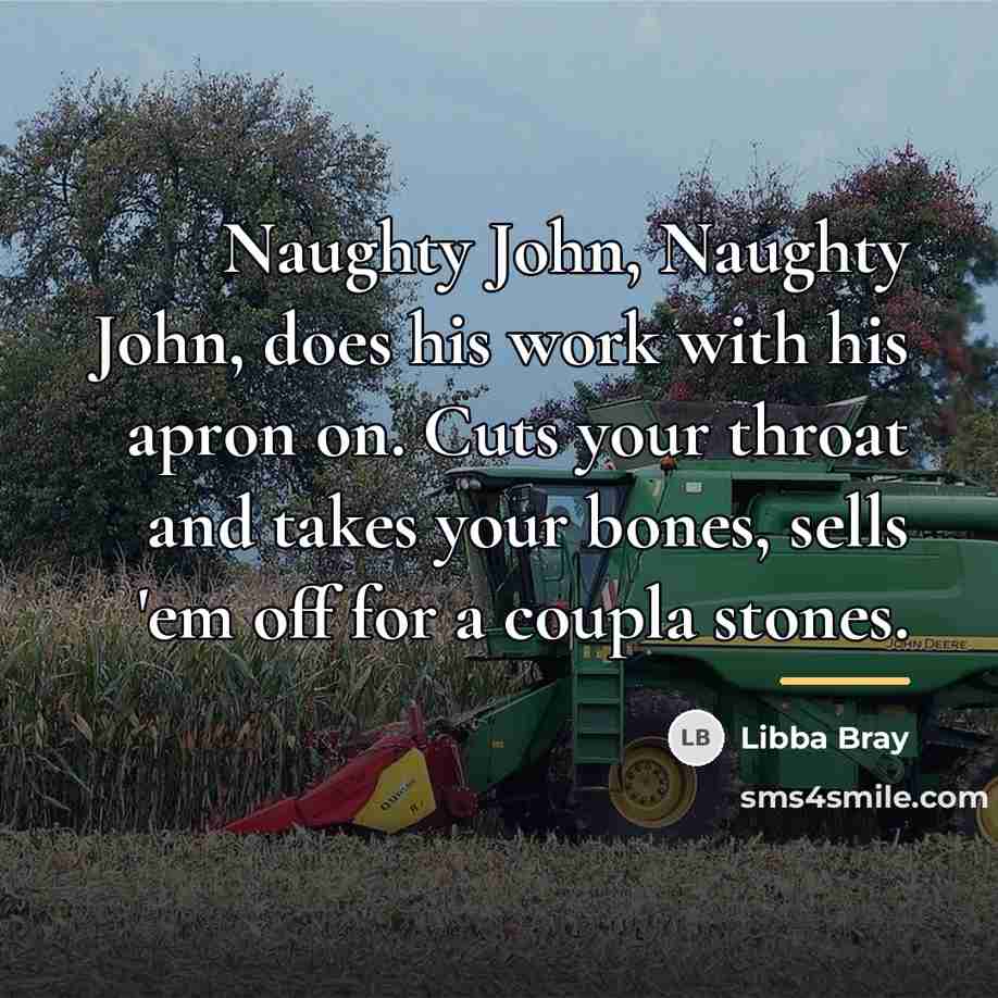 “Naughty John, Naughty John, does his work with his apron…” quote by Libba Bray