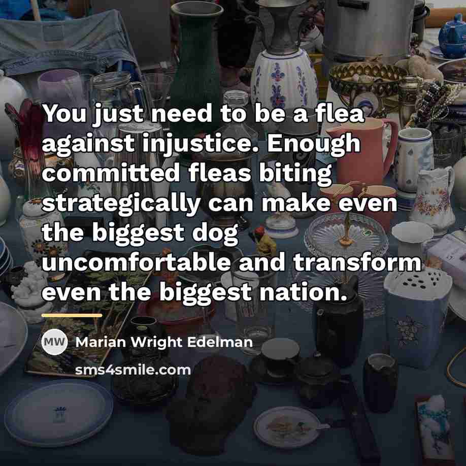 “You just need to be a flea against injustice. Enough…” quote by Marian Wright Edelman