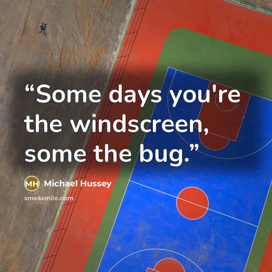 “Some days you're the windscreen, some the bug.” quote by Michael Hussey