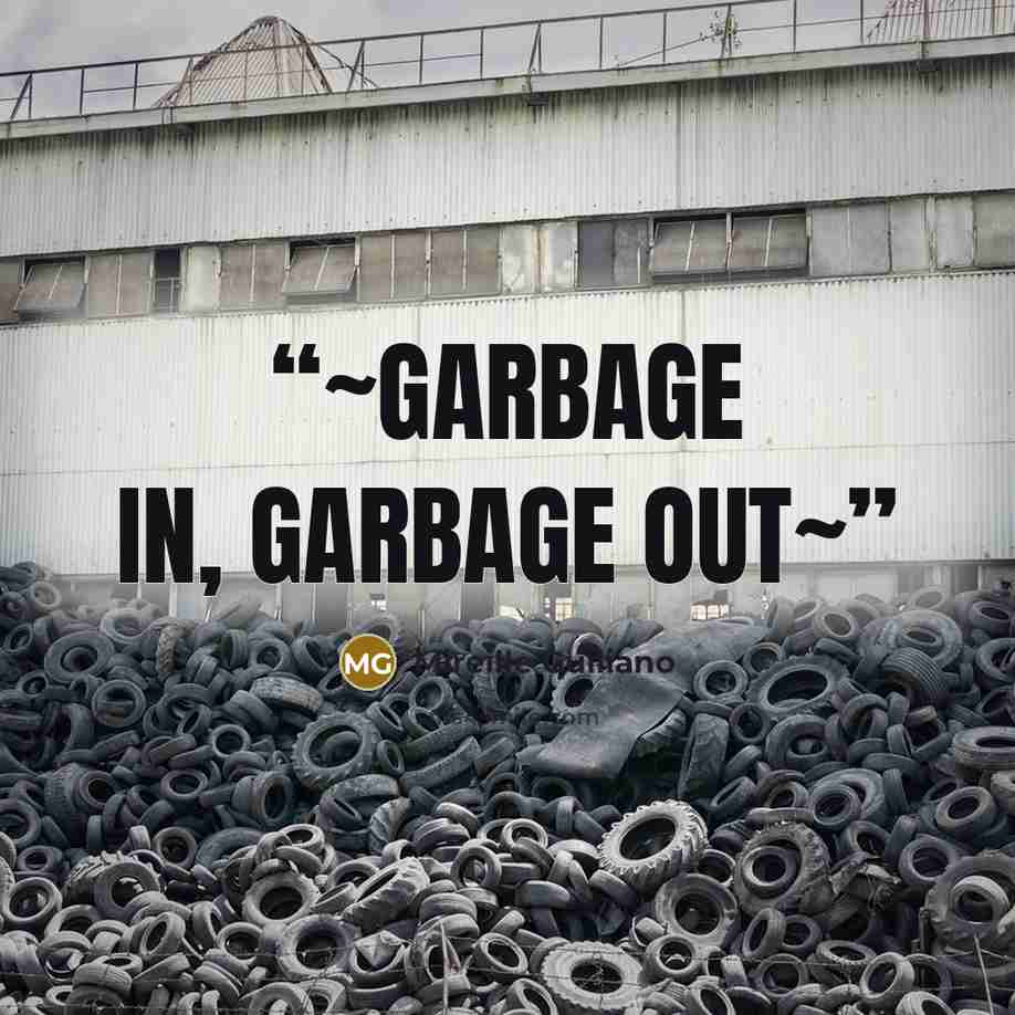 “~Garbage in, garbage out~” quote by Mireille Guiliano