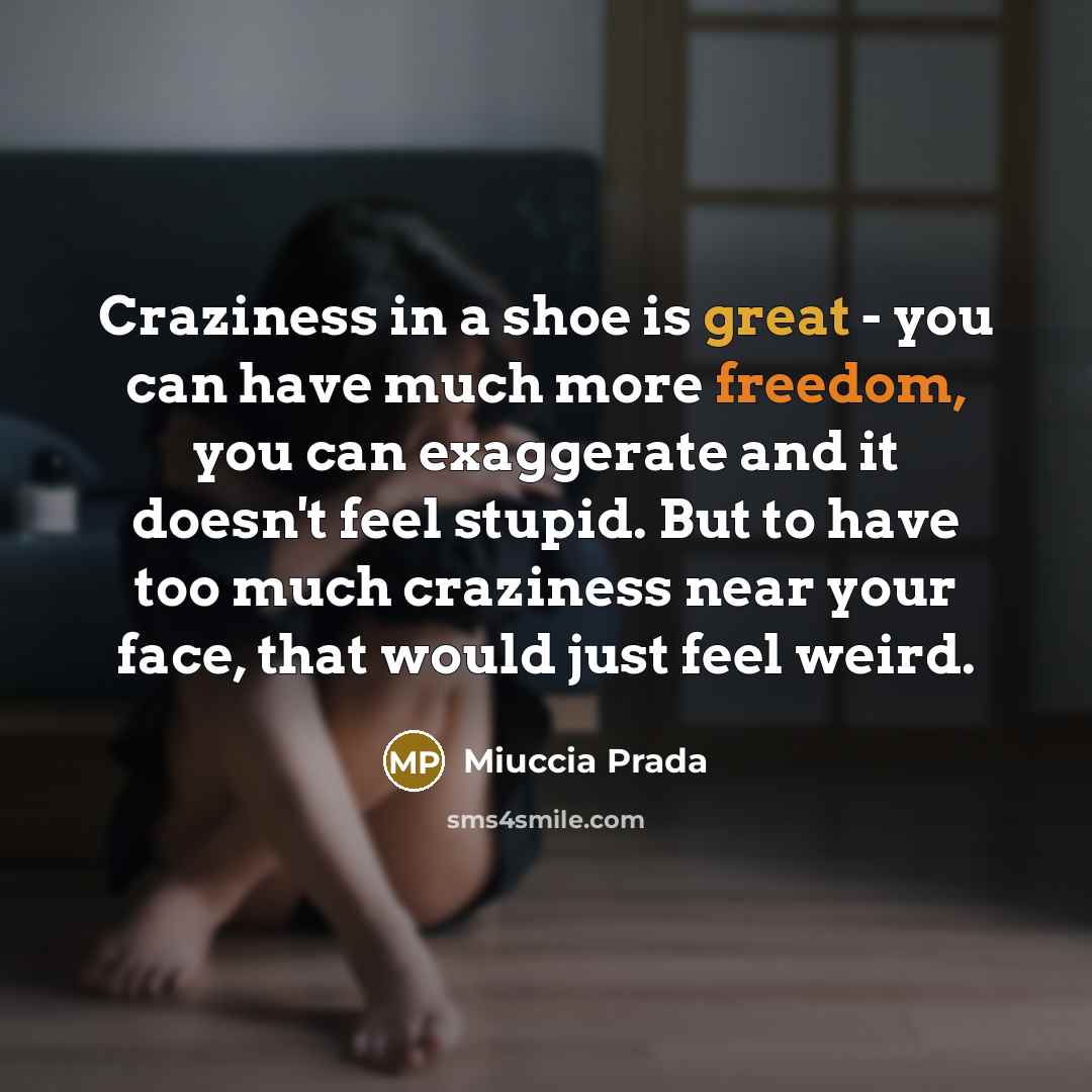 “Craziness in a shoe is great - you can have…” quote by Miuccia Prada