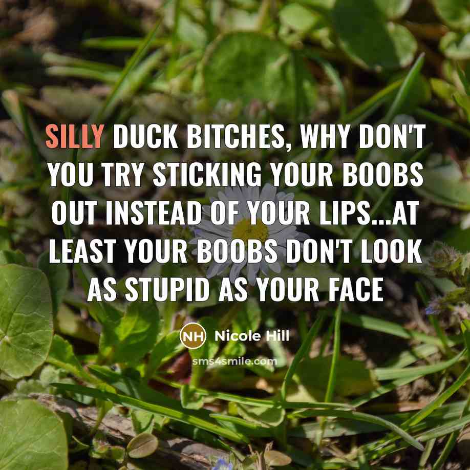 “Silly duck bitches, why don't you try sticking your boobs…” quote by Nicole Hill