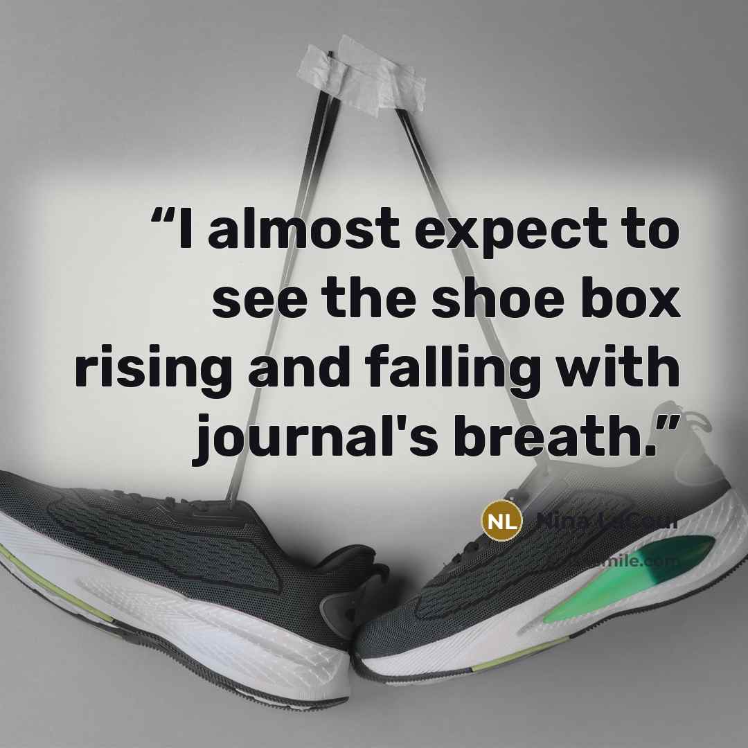 “I almost expect to see the shoe box rising and falling with journal's breath.” quote by Nina LaCour