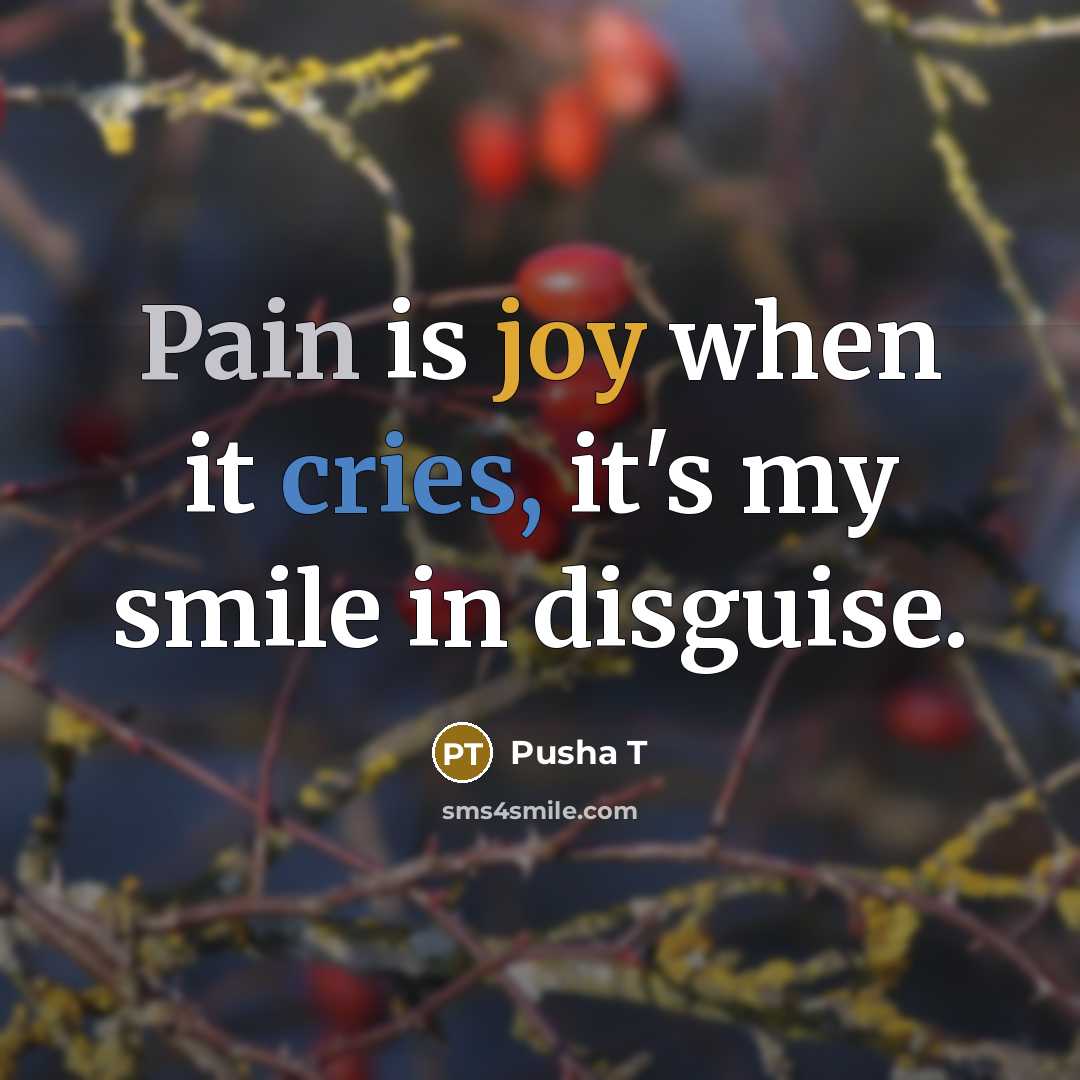 “Pain is joy when it cries, it's my smile in disguise.” quote by Pusha T