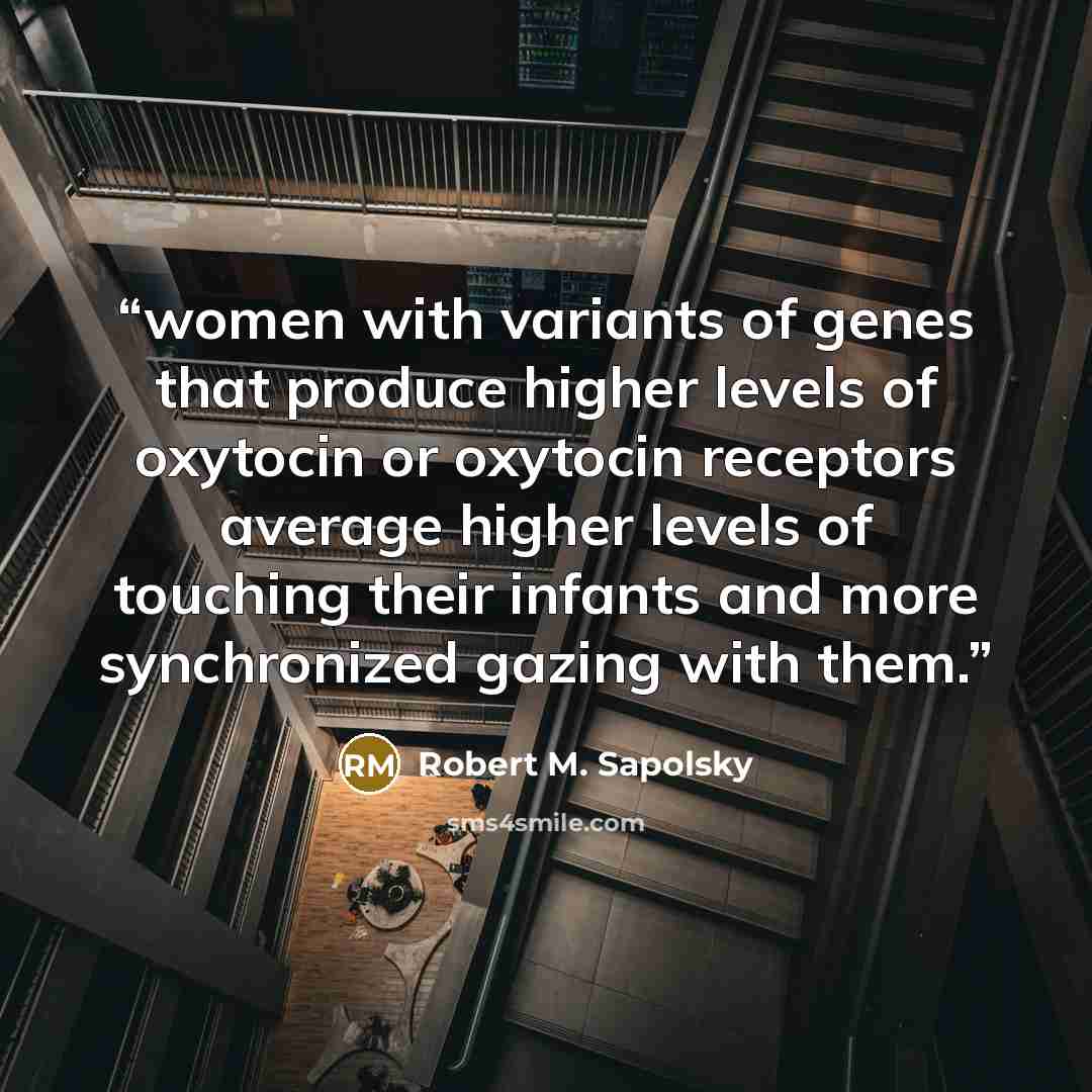 “women with variants of genes that produce higher levels of oxytocin or oxytocin receptors average higher levels of touching their infants and more synchronized gazing with them.” quote by Robert M. Sapolsky