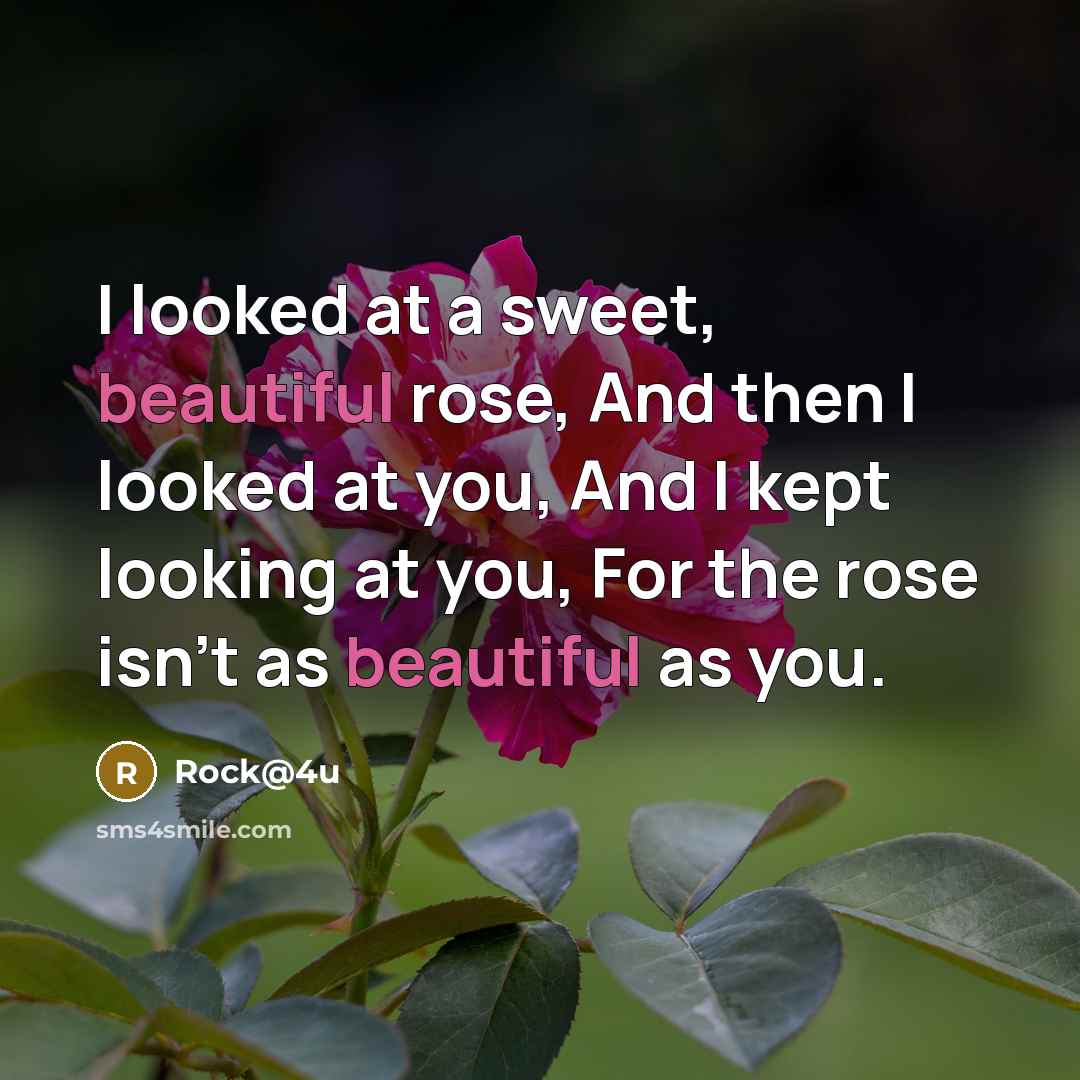 “I looked at a sweet, beautiful rose, And then I looked at you, And I kept looking at you, For the rose isn't as beautiful as you.” quote by Rock@4u