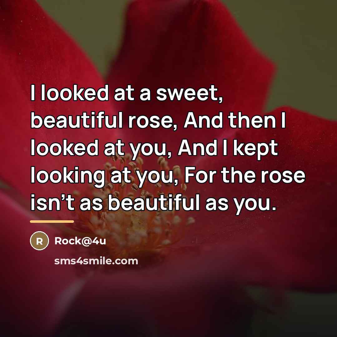 “I looked at a sweet, beautiful rose, And then I…” quote by Rock@4u