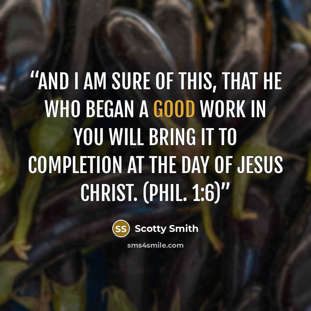 “And I am sure of this, that he who began a good work in you will bring it to completion at the day of Jesus Christ. (Phil. 1:6)” quote by Scotty Smith