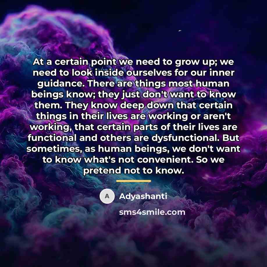 “At a certain point we need to grow up; we…” quote by Adyashanti