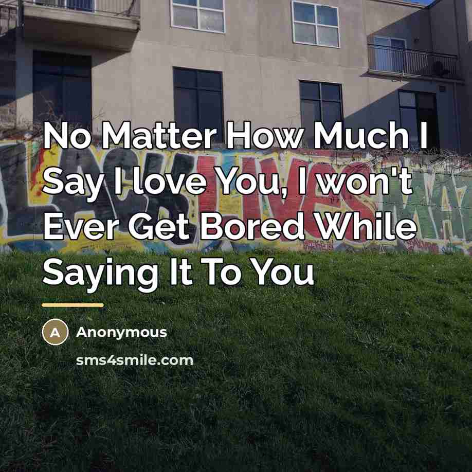 “No Matter How Much I Say I love You, I…” quote by Anonymous